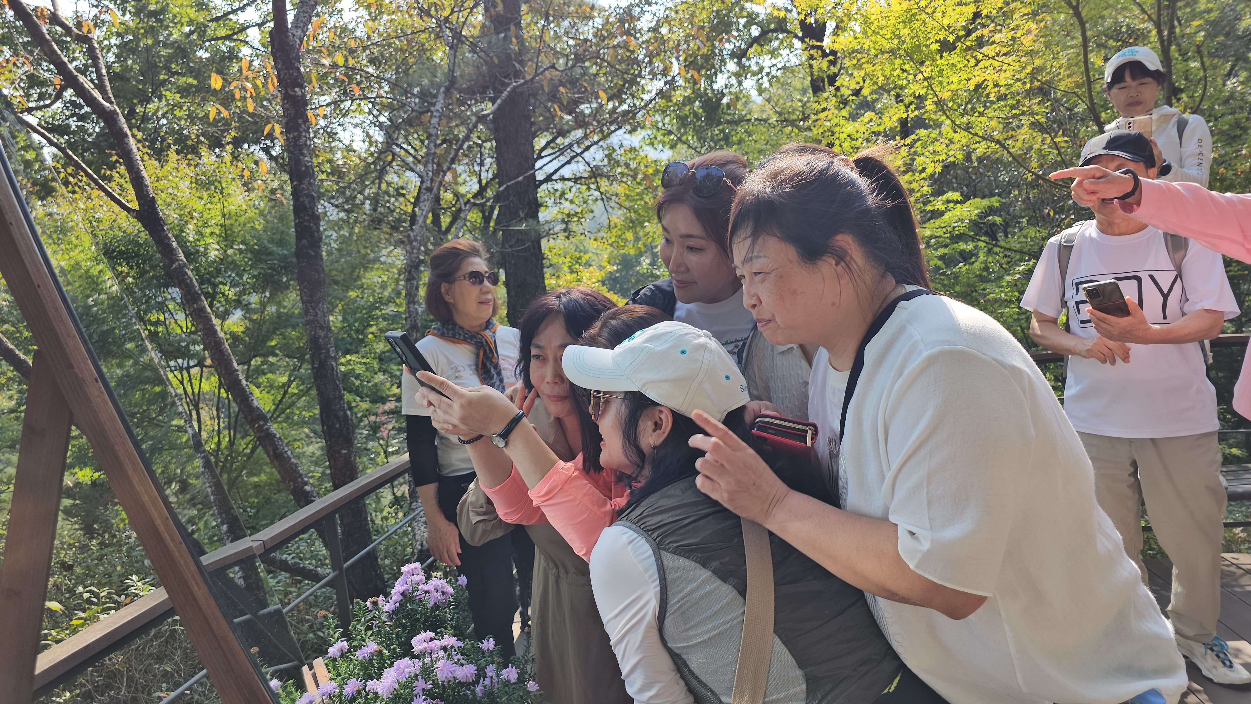 자원봉사자 나들이 "화담숲 다녀왔어요"