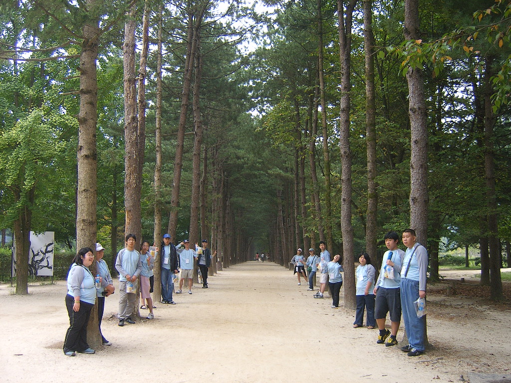 2008 직업적응훈련생 띠앗머리 캠프