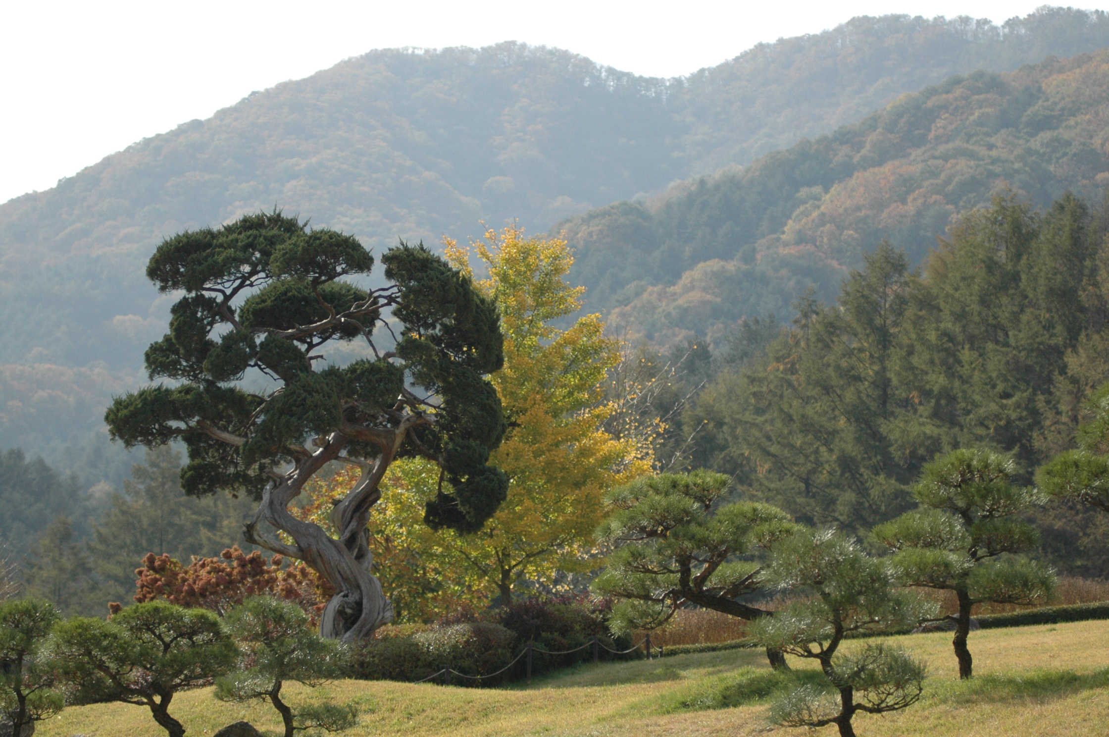 자원봉사자 연수(10.29)