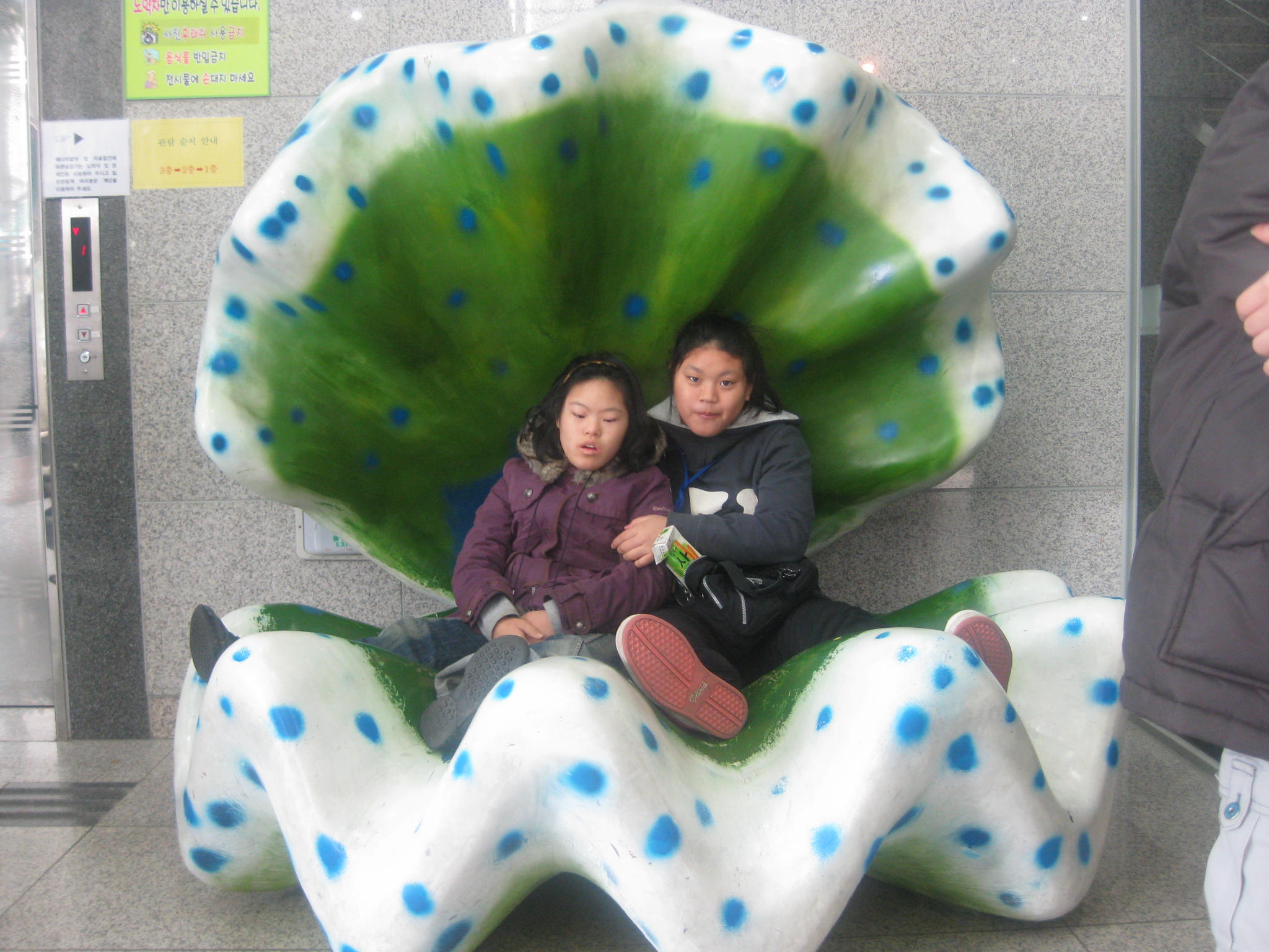 자연사 박물관에 다녀왔어요..