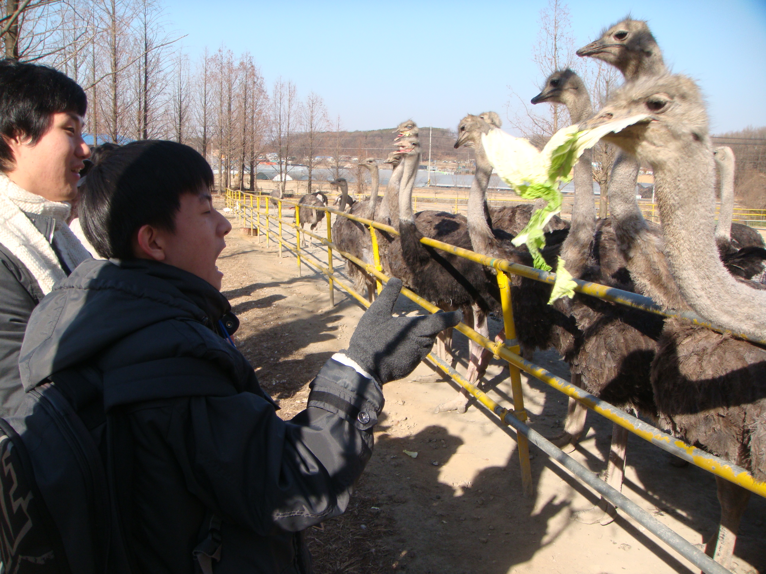 우농타조농장에 다녀왔습니다~