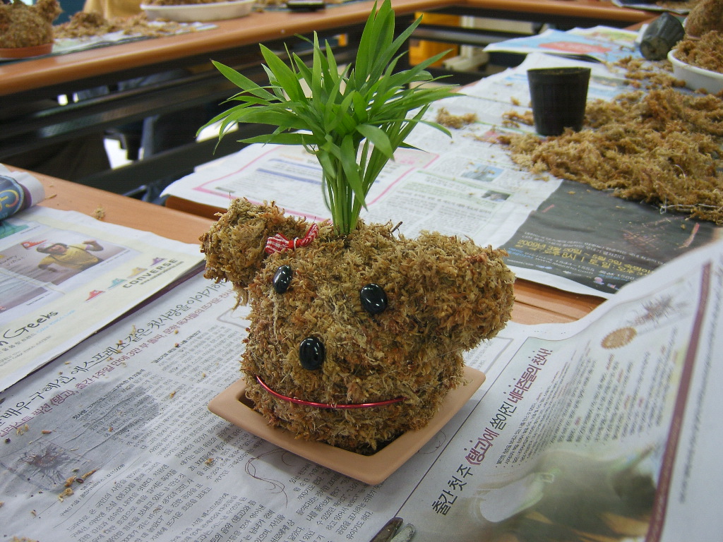 직업적응훈련 원예활동