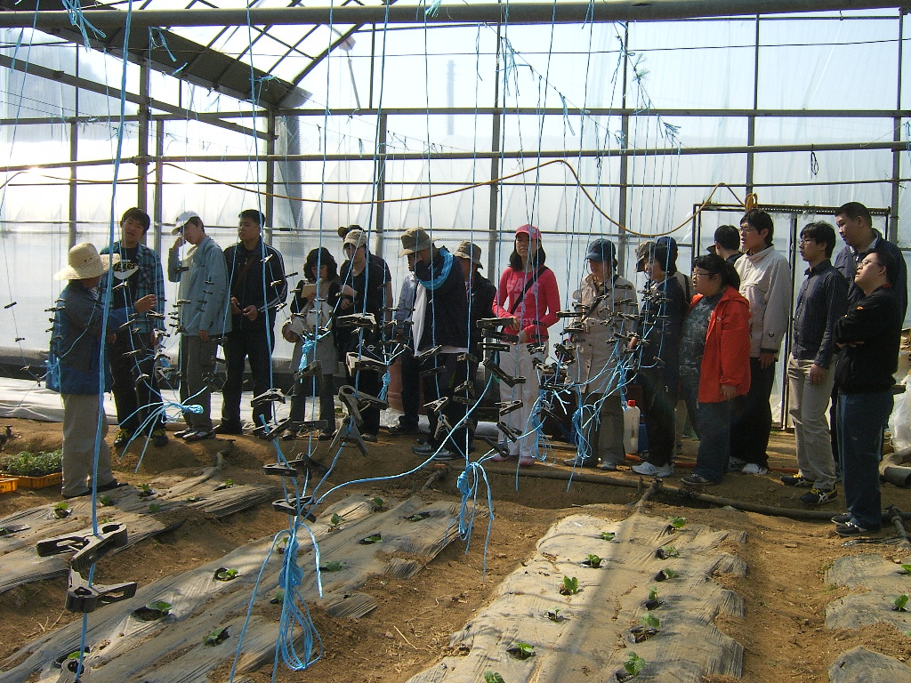 직업적응훈련 직업 체험