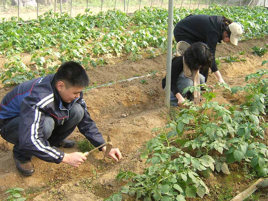 직업적응훈련 직업 체험