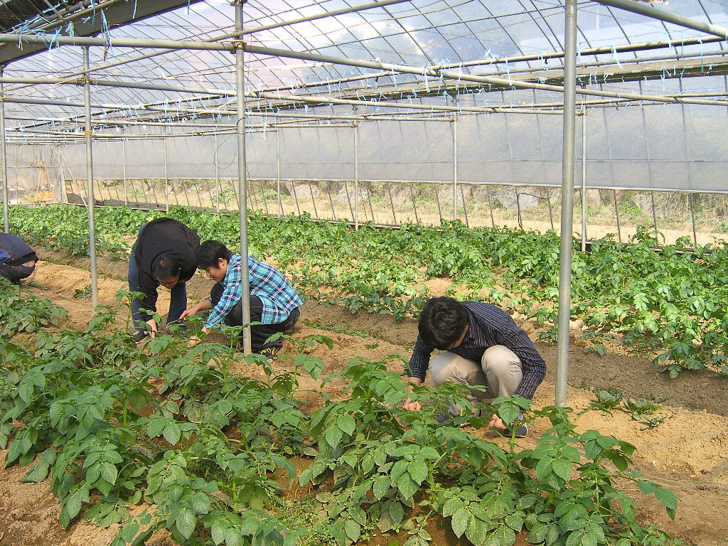 직업적응훈련 직업 체험