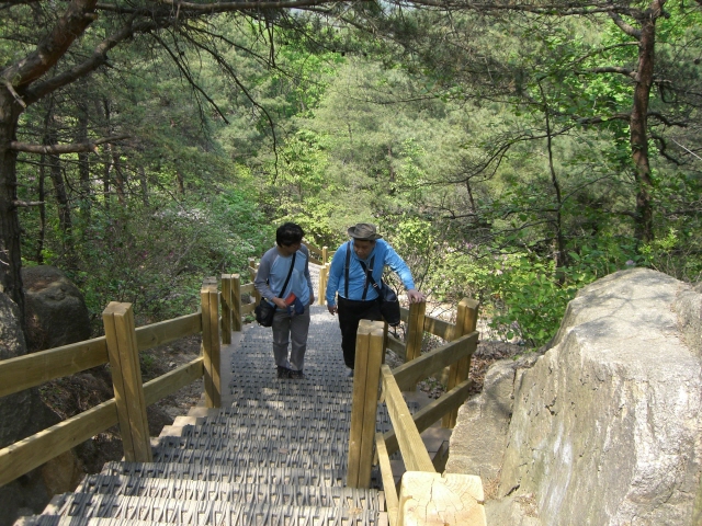 직업적응훈련생 등산활동