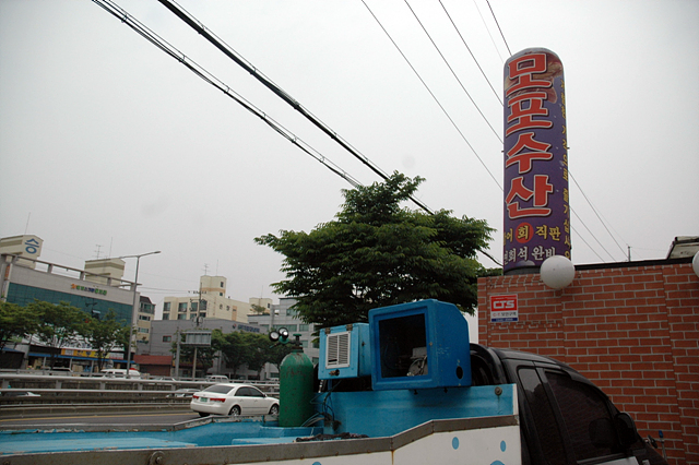 좋은 이웃! 할인업체 -모포해물탕-