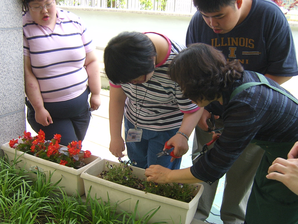 직업적응훈련 원예활동