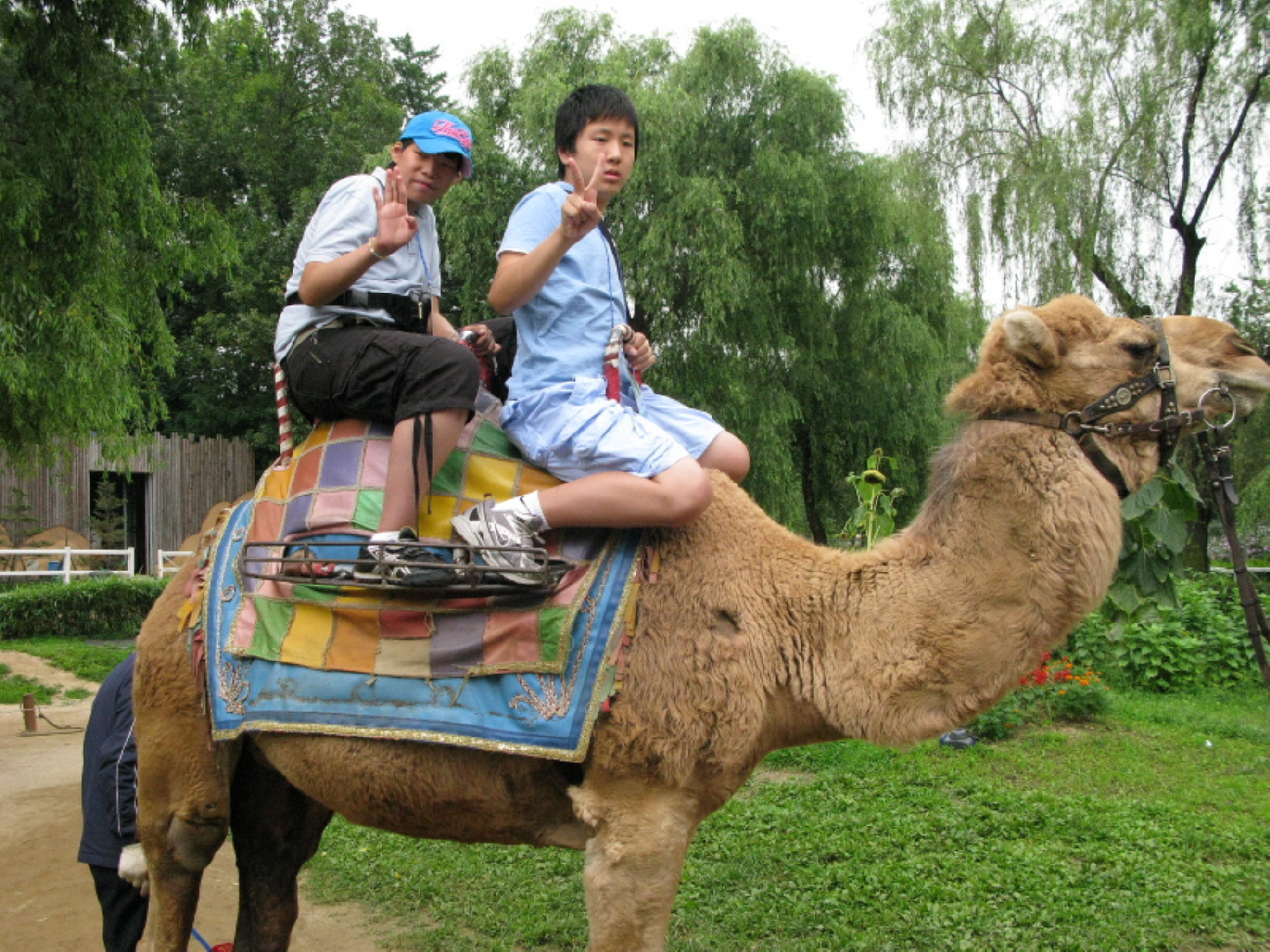 2009 여름계절학교