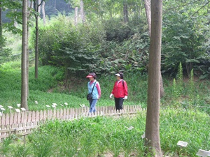 2009년 자원봉사자 나들이