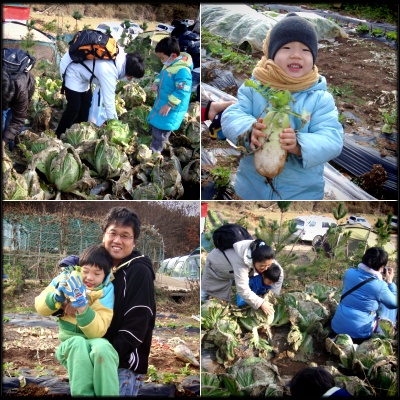 11월 가족나들이: 김포 /수안산농원