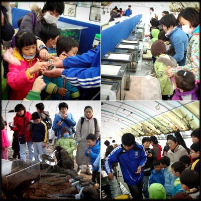 11월 가족나들이: 김포 /수안산농원