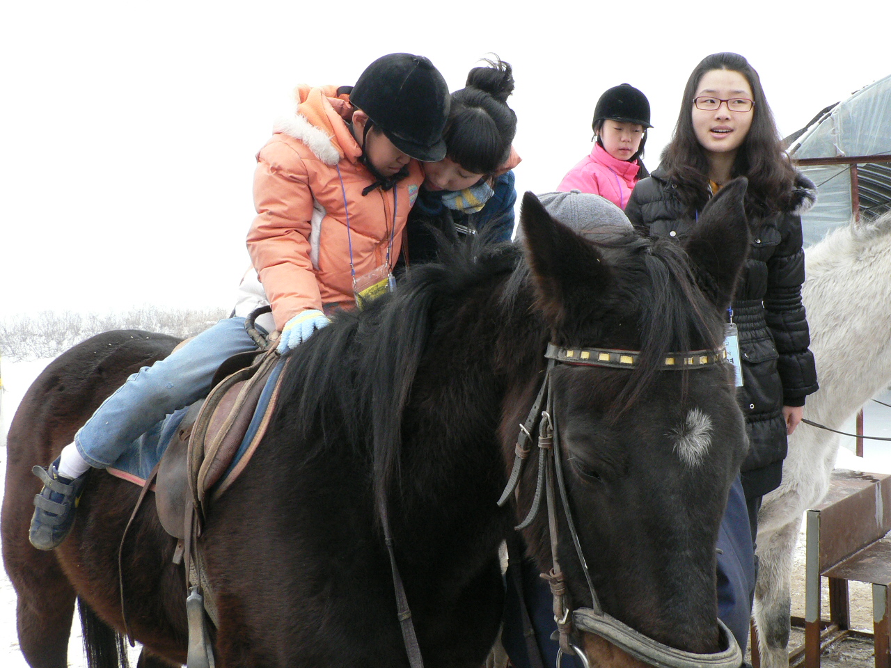 2010 아동 겨울 계절학교