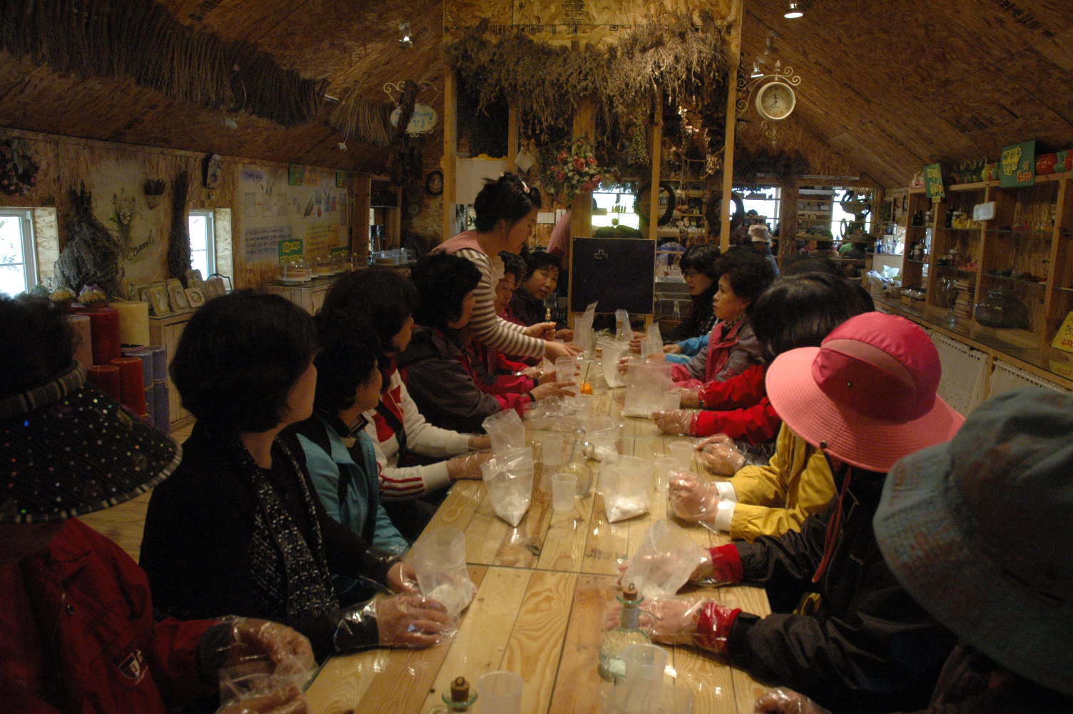 2010년 자원봉사자 봄 나들이