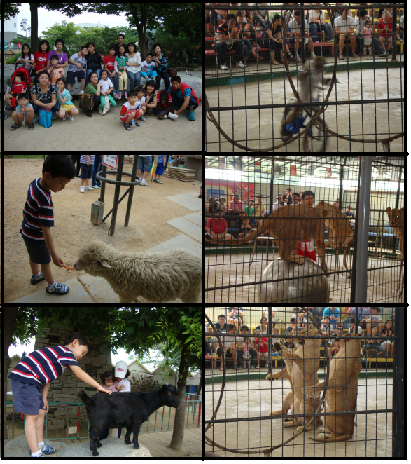 6월 가족나들이 프로그램