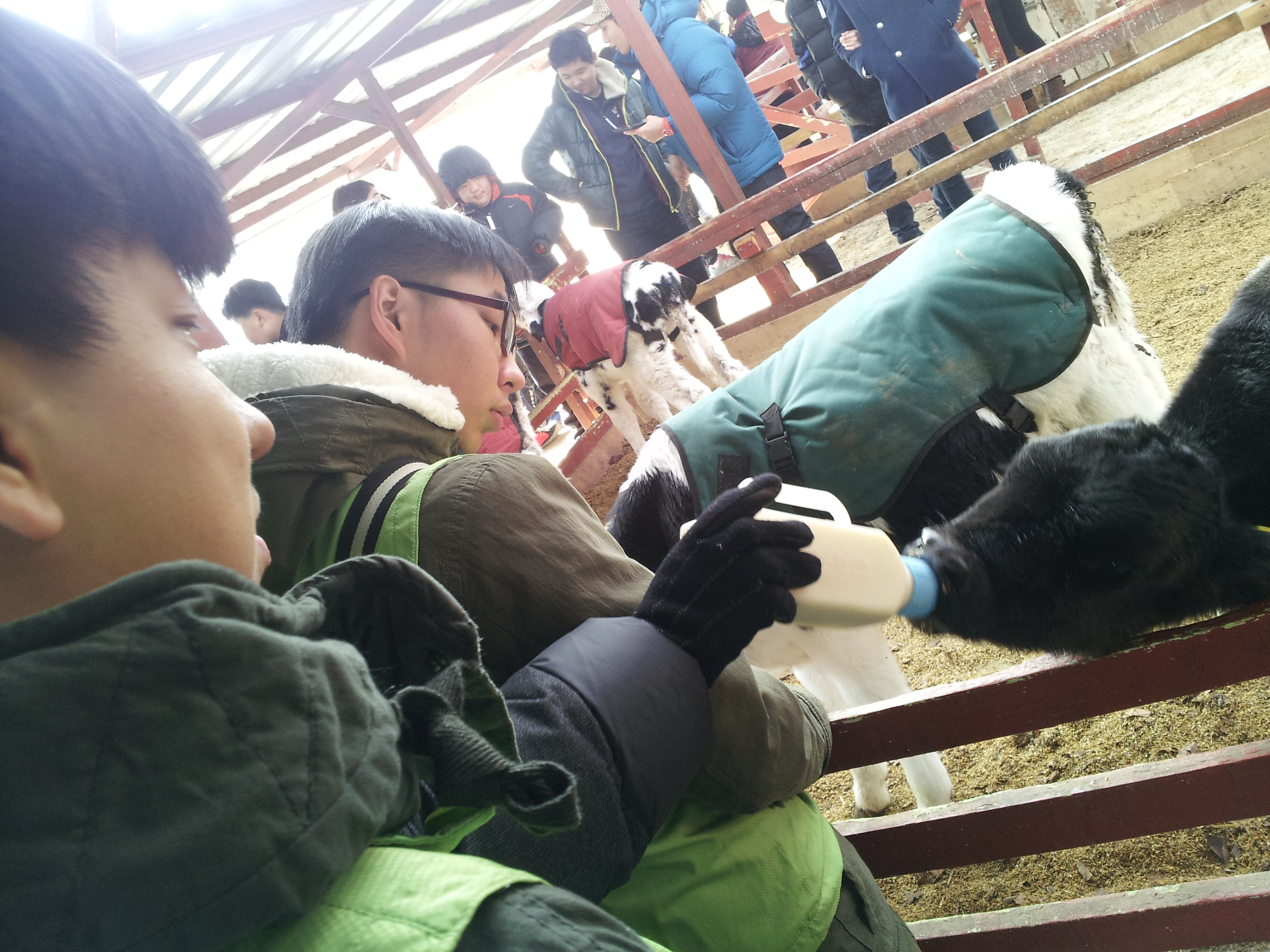 양천장애인종합복지관 2014겨울계절학교