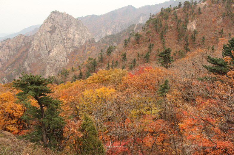 2013년 여행바우처 "행복 만들기 가을여행"