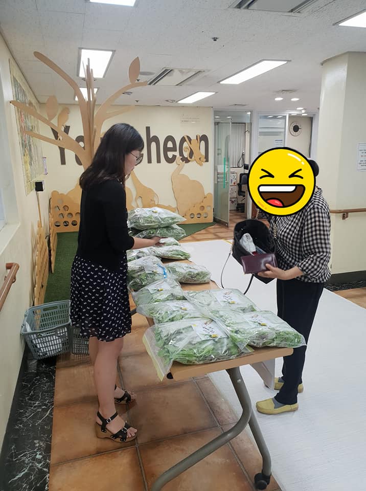 옥상텃밭이 선물해준 상추~~!!