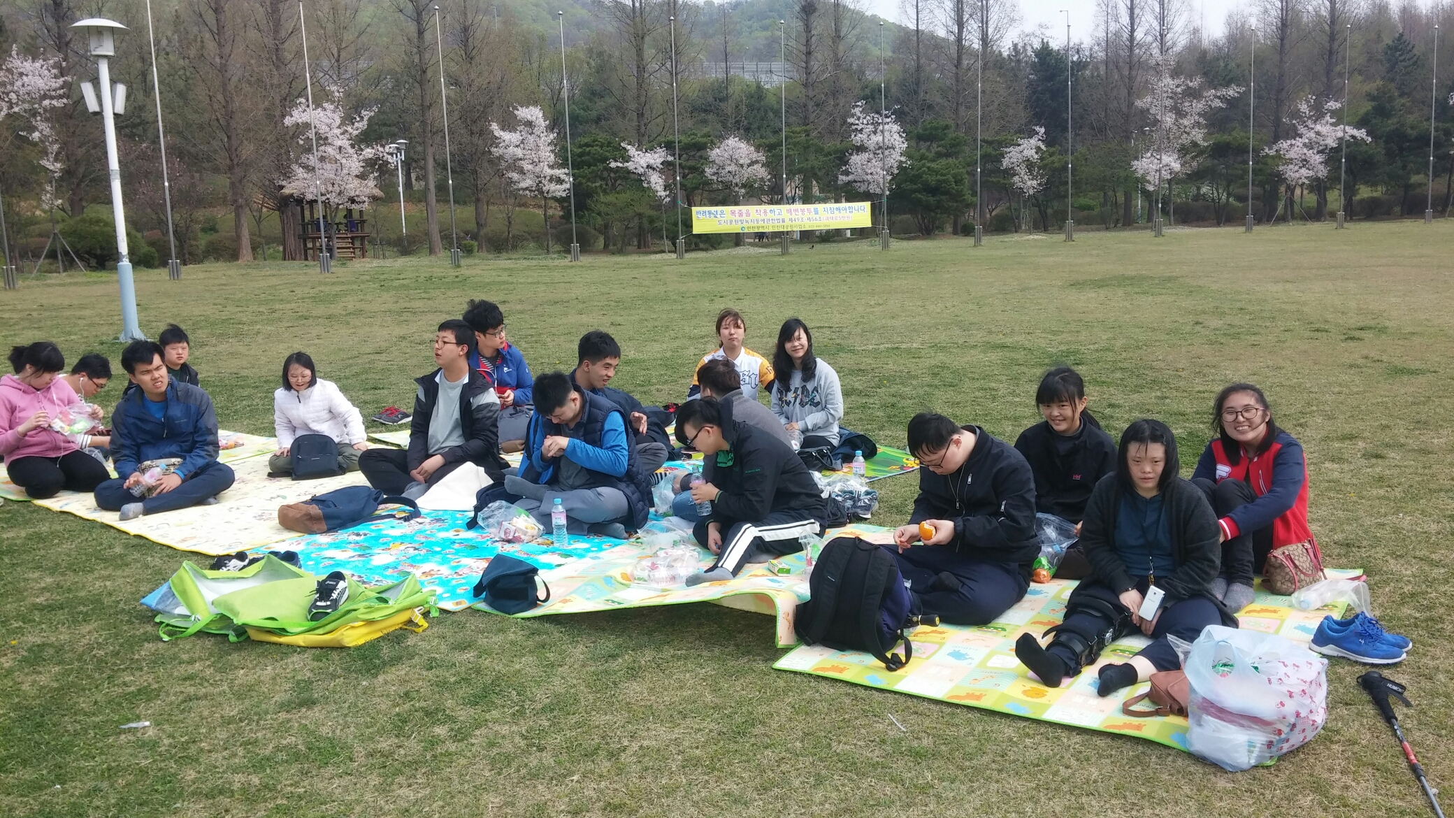 제37회 장애인의 날 기념 성인발달장애인 체육대회