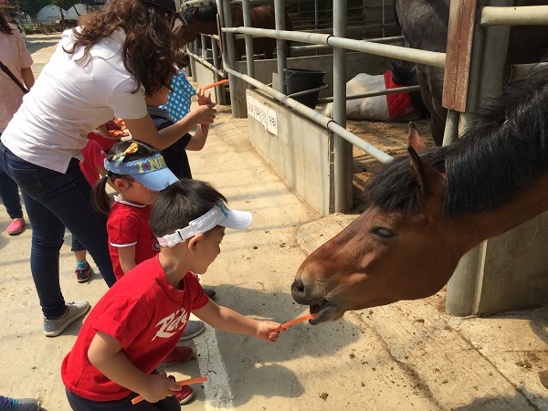 2015 Metlife 장애유아 프로젝트 지원사업  함께자라는 가족  "5월 가족체험활동"