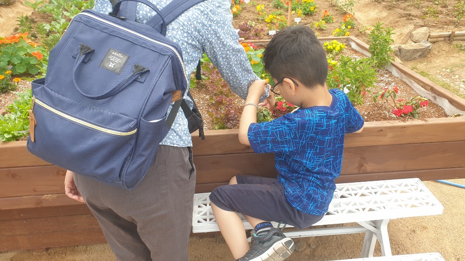 함께하는 텃밭가꿈이 패밀리팜 5월 정기 활동