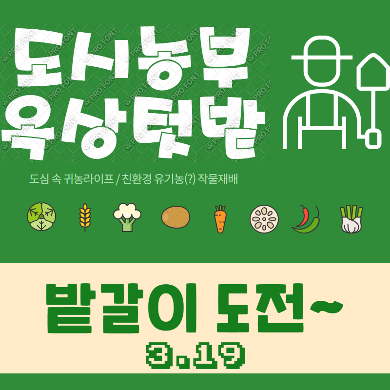 도시농부-옥상텃밭 밭갈이~~~LET