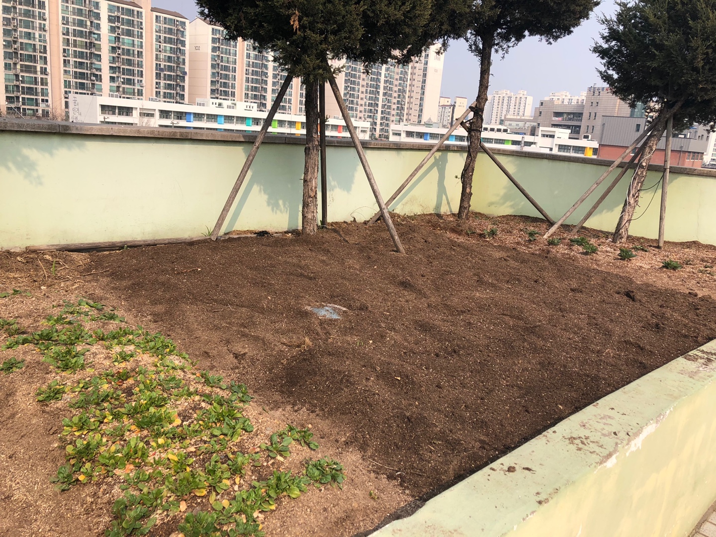 도시농부-옥상텃밭 밭갈이~~~LET