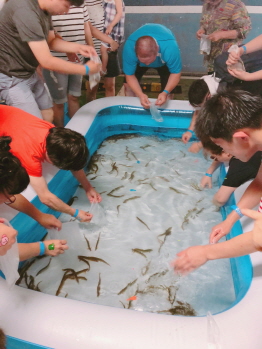 2018 양천물놀이축제