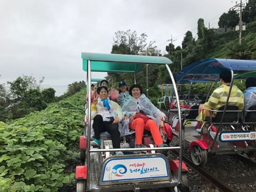 2018 장애인돌봄가족휴가제