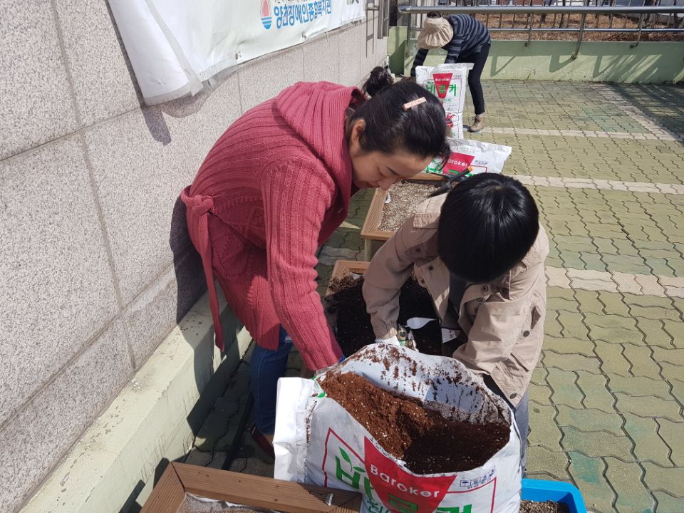 살맛나는 양천마을 만들기 도심속텃밭 