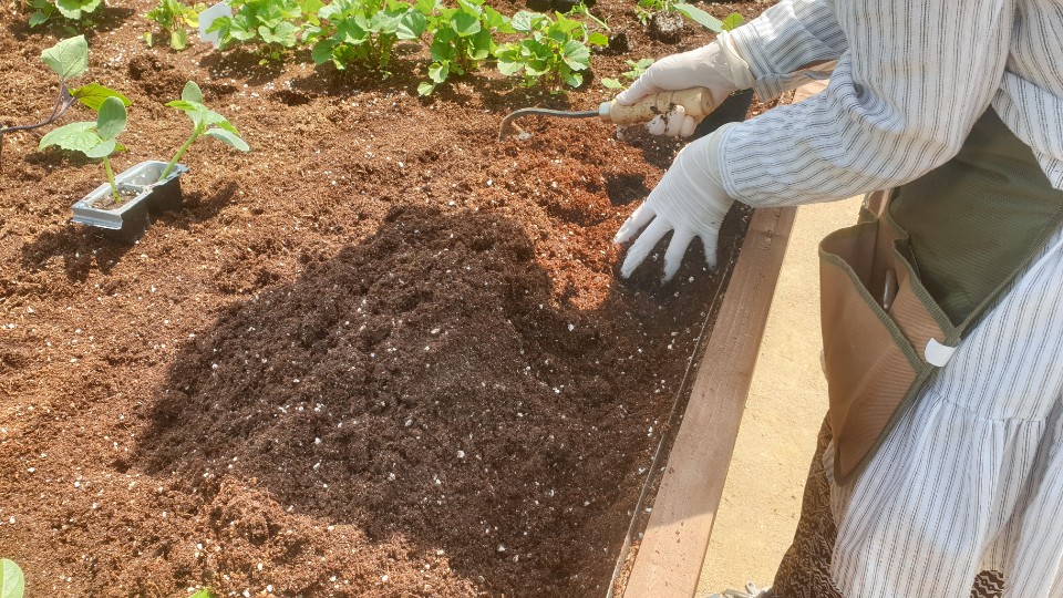 가족과 함께 하는 텃밭가꿈이 "패밀리팜" 모종심기