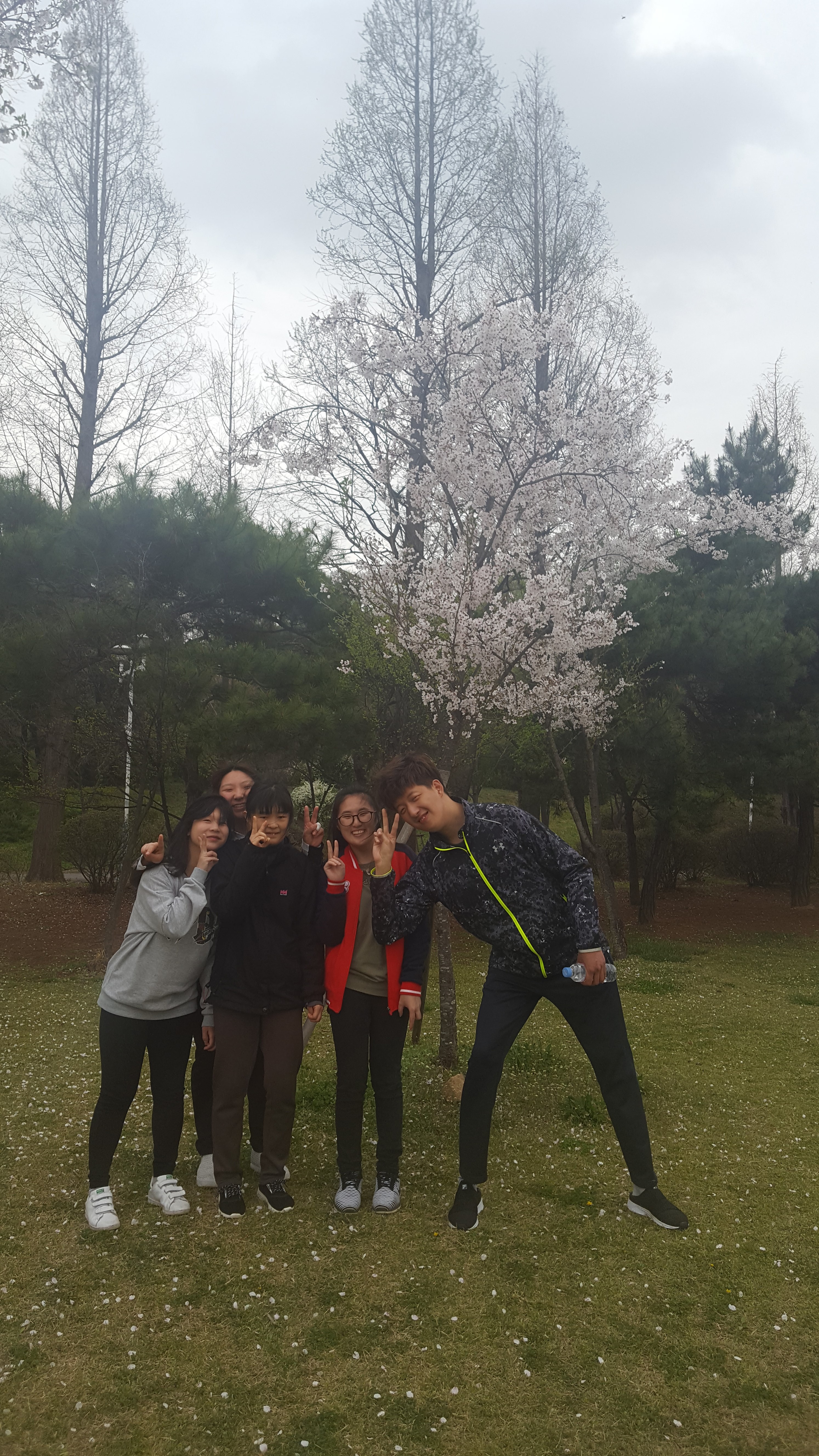 제37회 장애인의 날 기념 성인발달장애인 체육대회