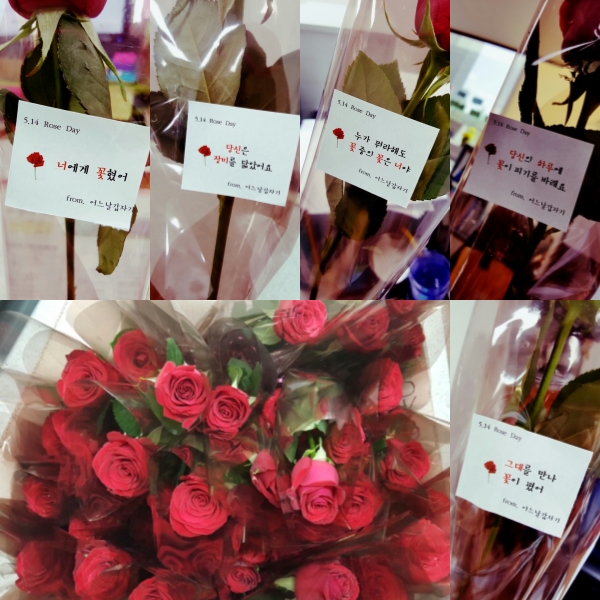 5월 14일 로즈데이