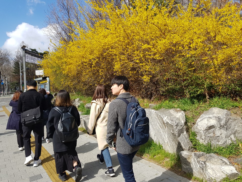 2019년 성장멘토링 멘토간담회 진행