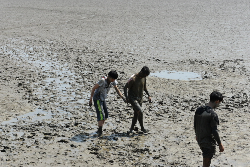 2017년 여름계절학교