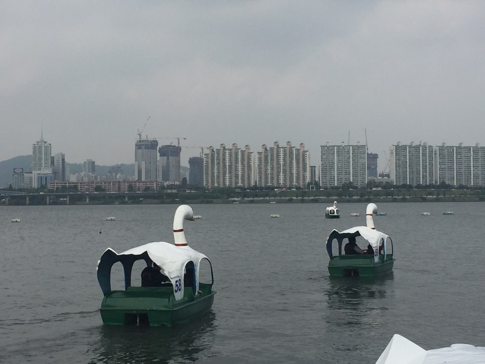 초등통합지원반 "오리배 타고 둥실둥실"