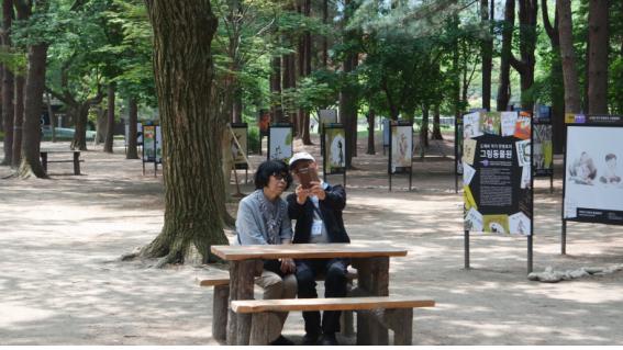 2017년 1차 문화패키지(나들이)