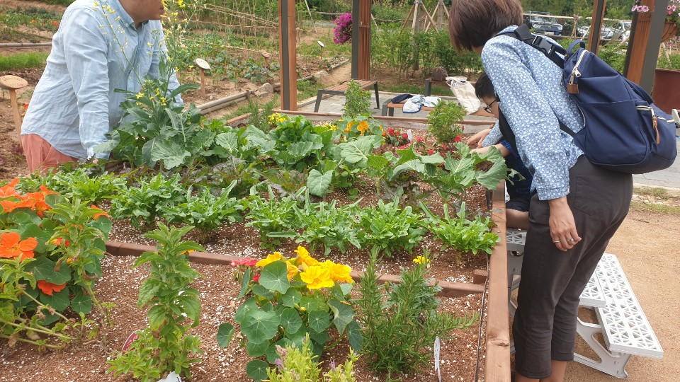 함께하는 텃밭가꿈이 패밀리팜 5월 정기 활동