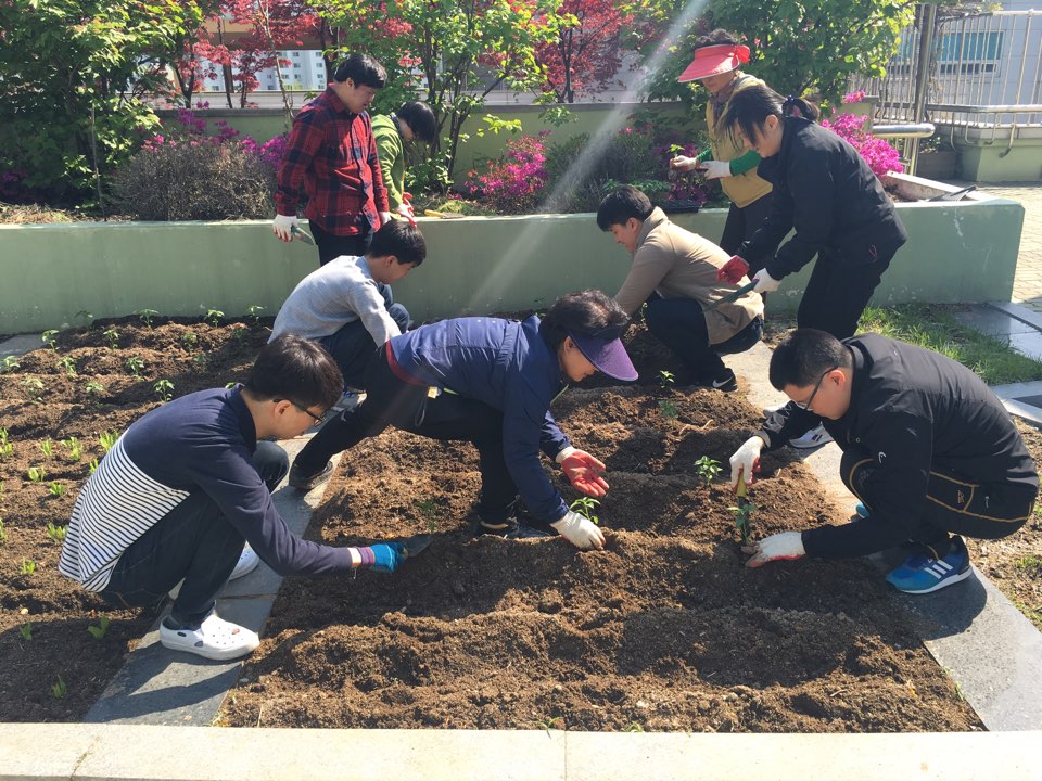 우리 텃밭을 소개합니다.