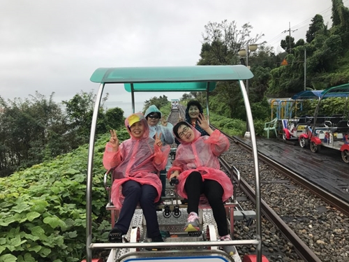 2018 장애인돌봄가족휴가제