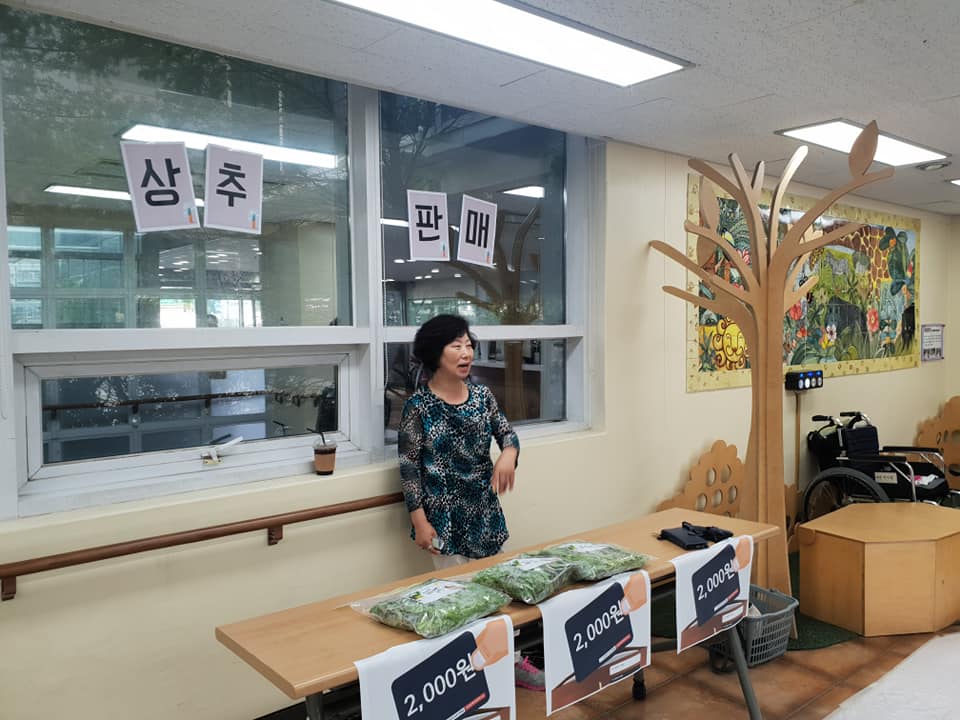 옥상텃밭이 선물해준 상추~~!!