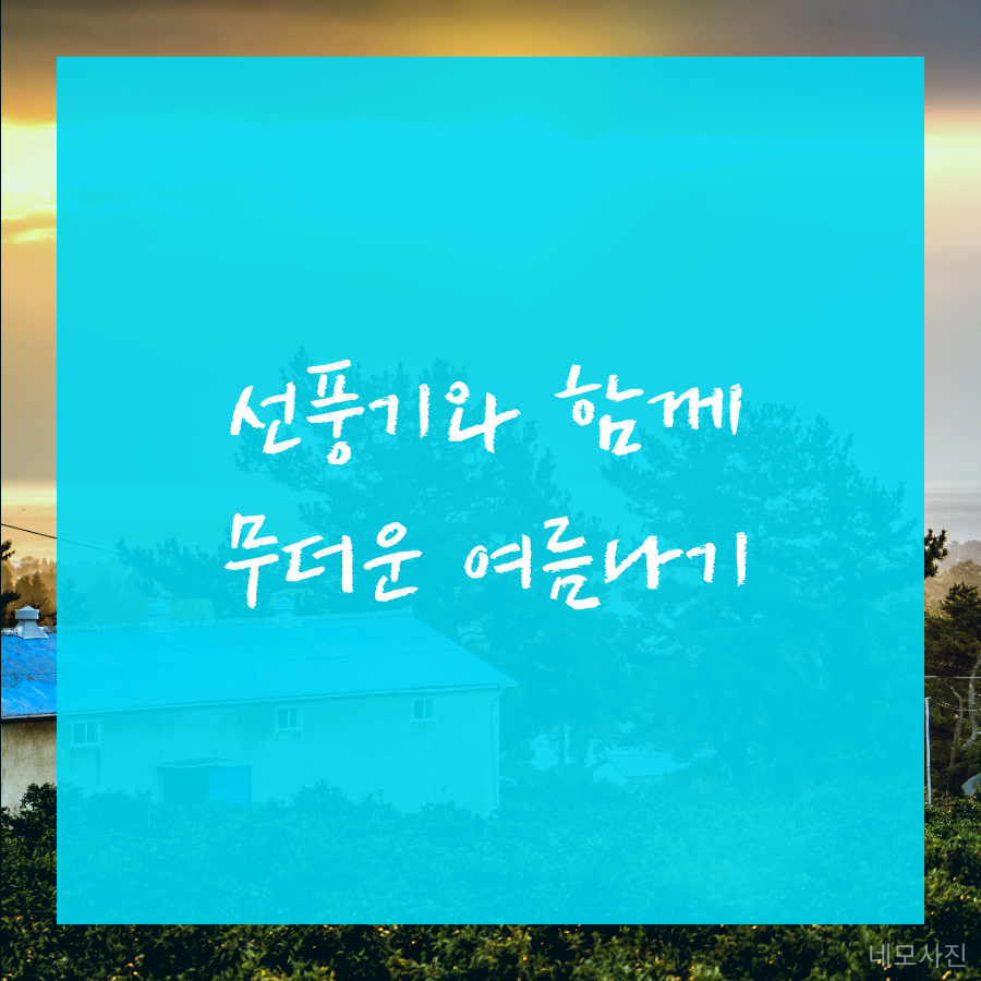 2017 무더운 여름 시원하게 나기