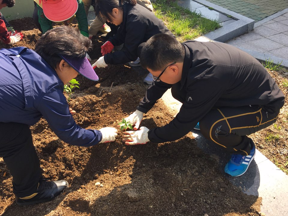 우리 텃밭을 소개합니다.