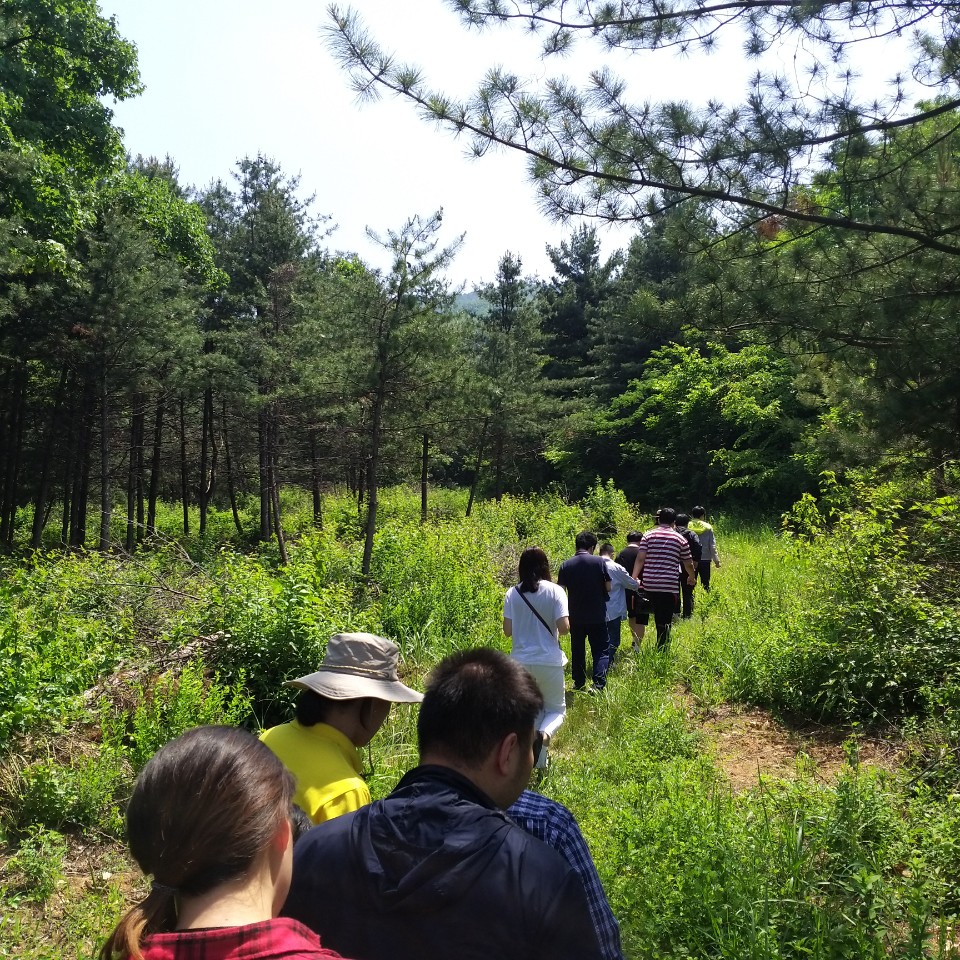 직업적응훈련반, 전문직종훈련반 , 해누리 청년대학 숲체험
