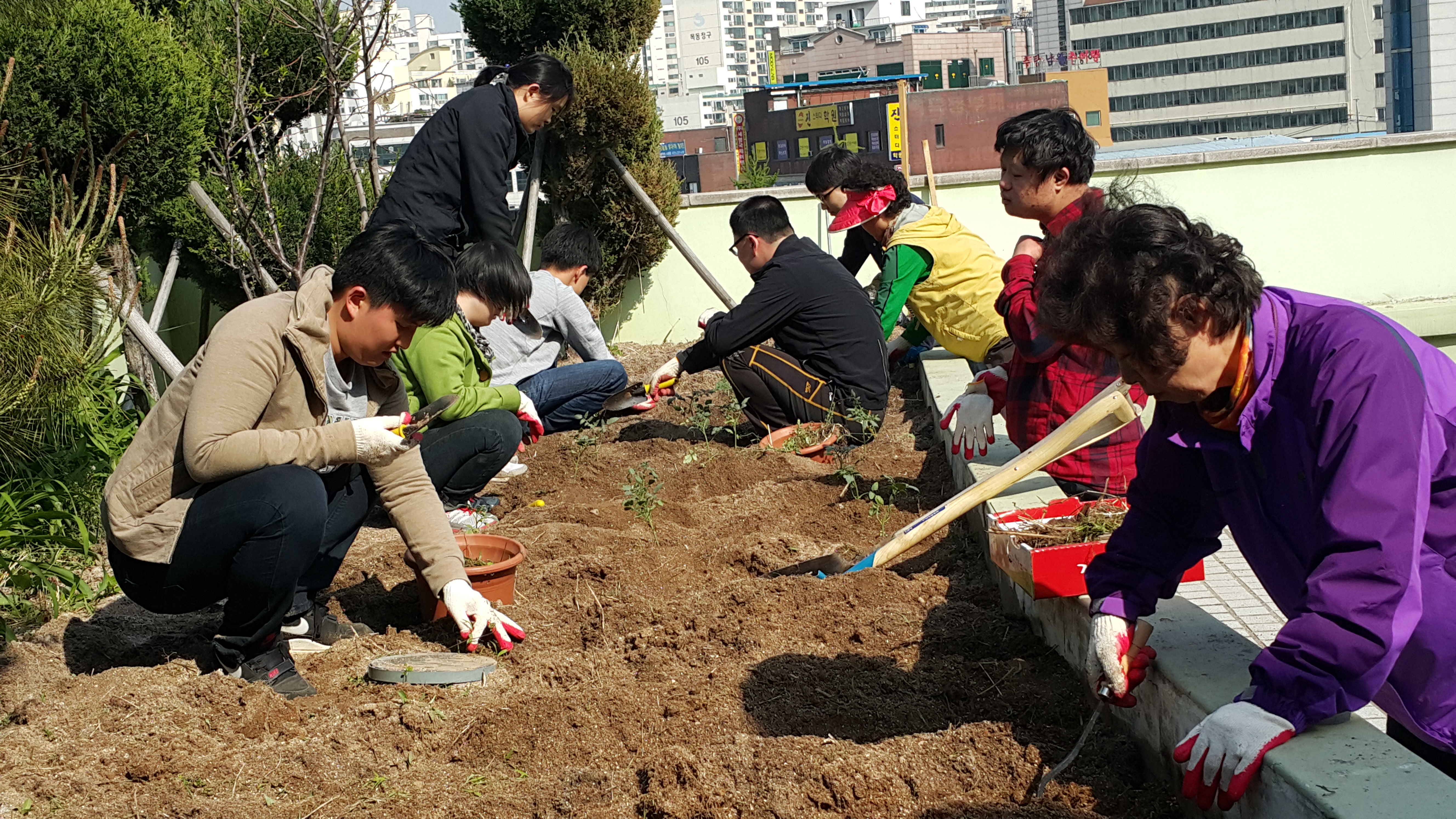 지역주민과 함께하는 싱싱한 텃밭 