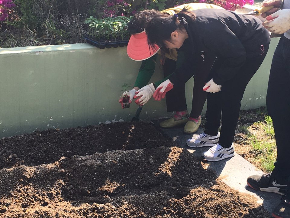 우리 텃밭을 소개합니다.