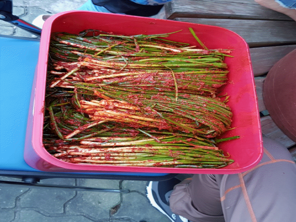 현대백화점 고객봉사단과 함께하는 