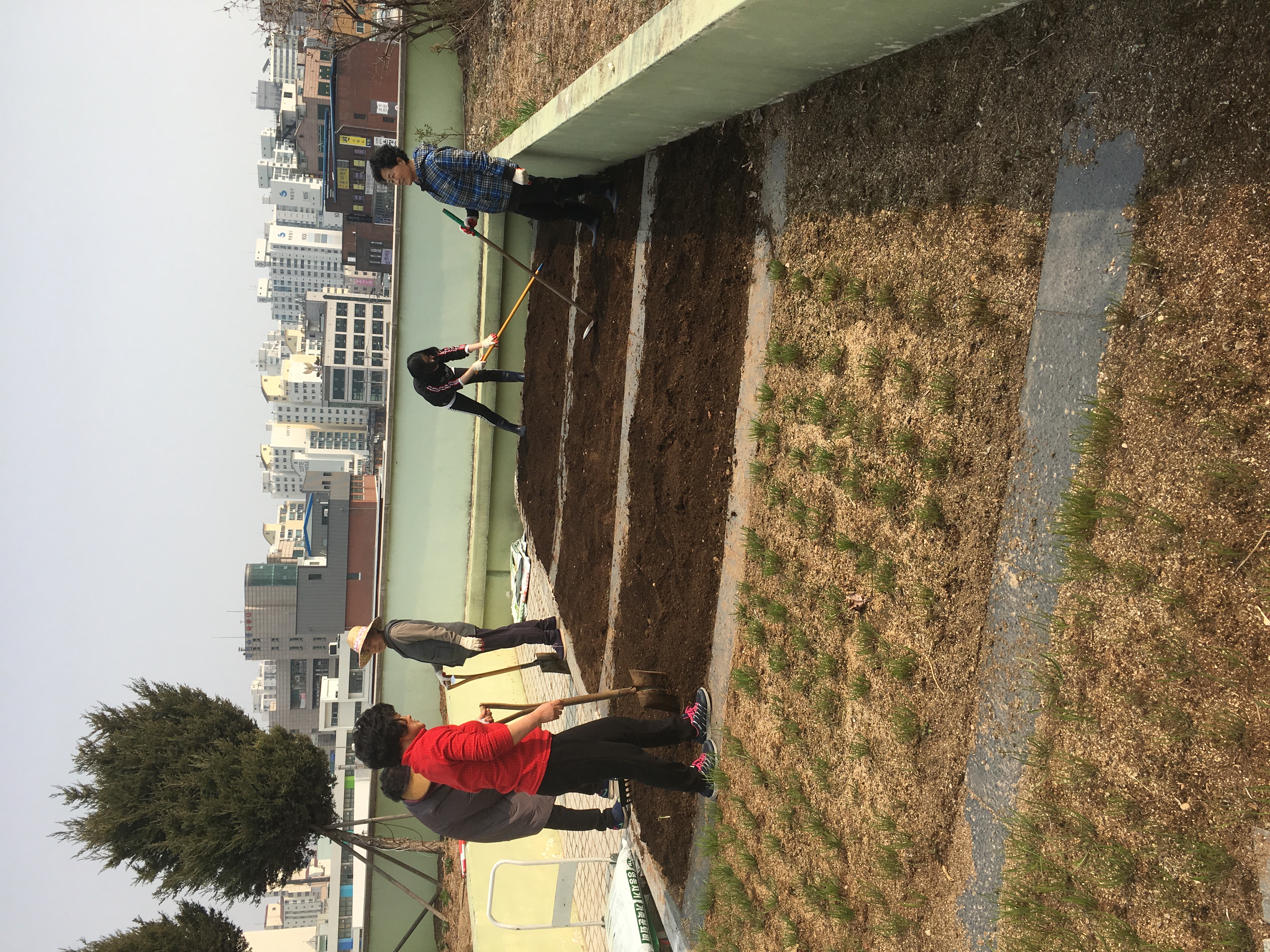 도시농부-옥상텃밭 밭갈이~~~LET