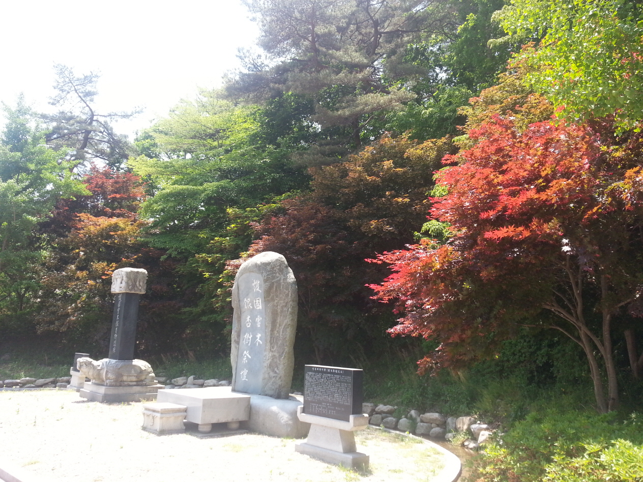 재활운동실 봄 나들이