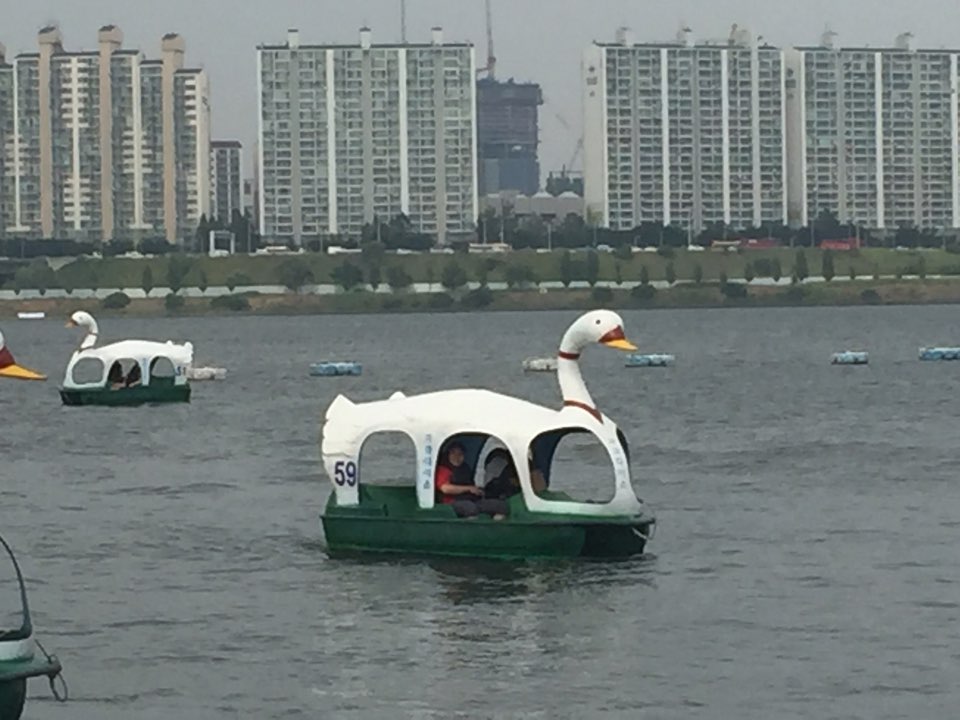 초등통합지원반 "오리배 타고 둥실둥실"